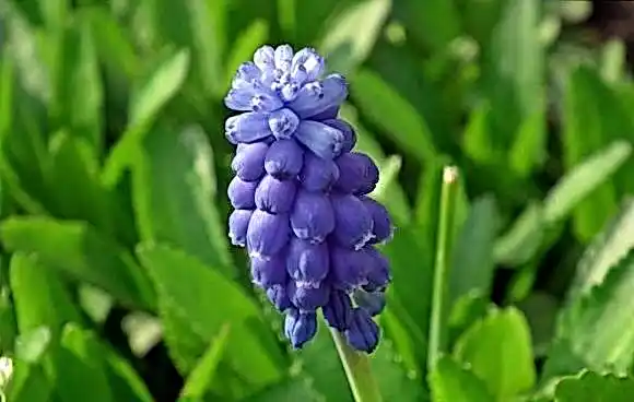 JVSpin сегодня 15b39b